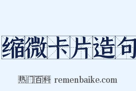 缩微卡片造句是什么意思的图片